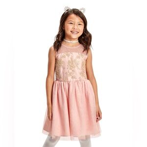 Girls Sleeveless Embroidered Lace Bodice Pink Dress